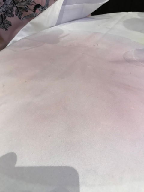 Shark Fin House - Great Ocean Road Restaurant 1