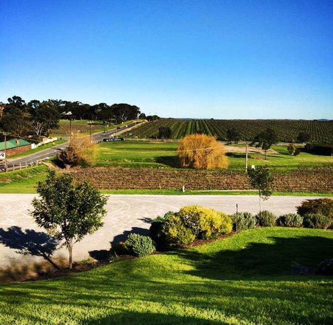 Maxwell Restaurant - Great Ocean Road Restaurant 14