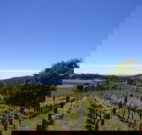 Barringwood Vineyard and Cellar Door Restaurant - Great Ocean Road Restaurant