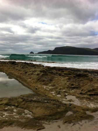 Bruny Island Berry Farm - Great Ocean Road Restaurant 0