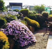 Pipers River Tea House and Crafts - Great Ocean Road Restaurant