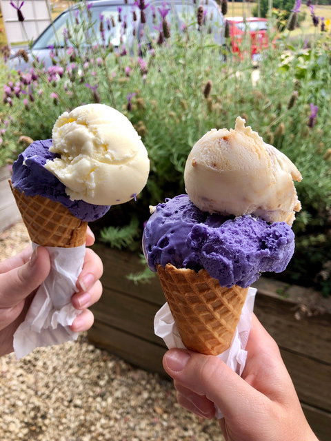 Port Arthur Lavender - Great Ocean Road Restaurant 1