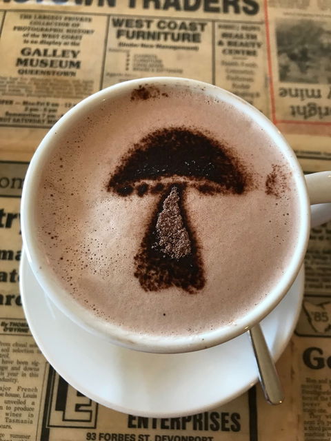 The Mushroom At Waratah - Great Ocean Road Restaurant 9