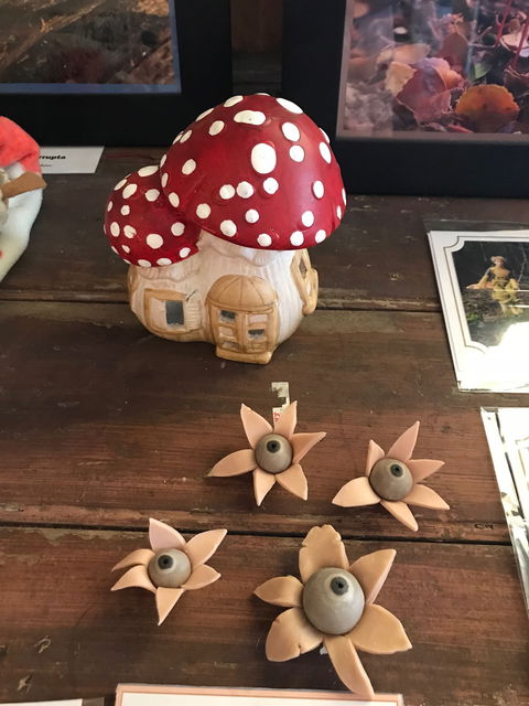 The Mushroom At Waratah - Great Ocean Road Restaurant 2