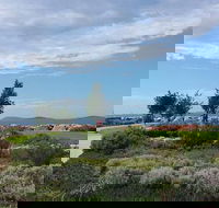 Coffee Cat - Great Ocean Road Restaurant