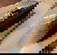 Dome - Great Ocean Road Restaurant