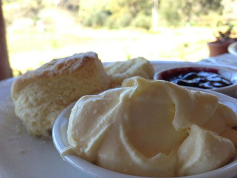 Tanglefoot Winery Cafe - Great Ocean Road Restaurant 0