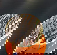 The Daily Grind Cafe - Great Ocean Road Restaurant