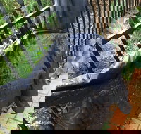 Cafe Settebello - Great Ocean Road Restaurant