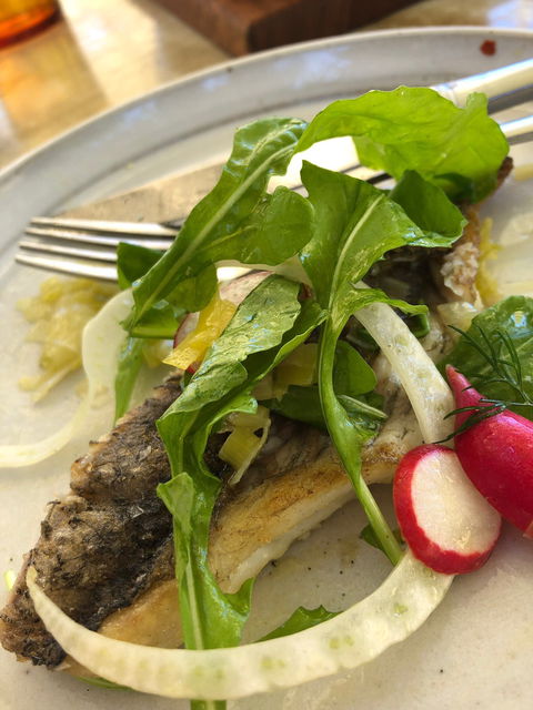 FINO Seppeltsfield - Great Ocean Road Restaurant 1