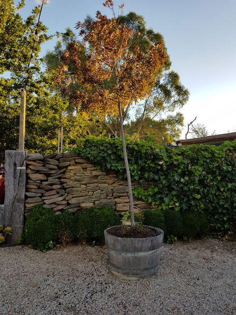 Barristers Block Cellar Door - Great Ocean Road Restaurant 7