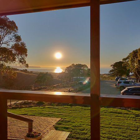Forktree Brewing - Great Ocean Road Restaurant 0