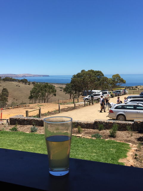 Forktree Brewing - Great Ocean Road Restaurant 4