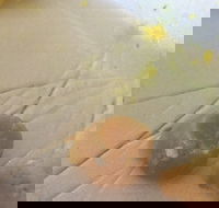 Parade Fish Shop - Great Ocean Road Restaurant