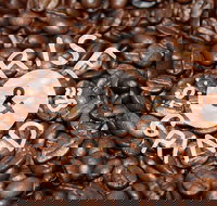 Qahwa Espresso Bar and Coffee Roasters - Great Ocean Road Restaurant