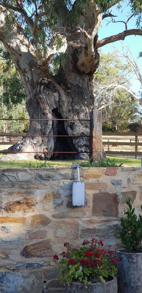 The Greenman Inn - Great Ocean Road Restaurant 1