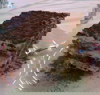 La Trattoria - Great Ocean Road Restaurant