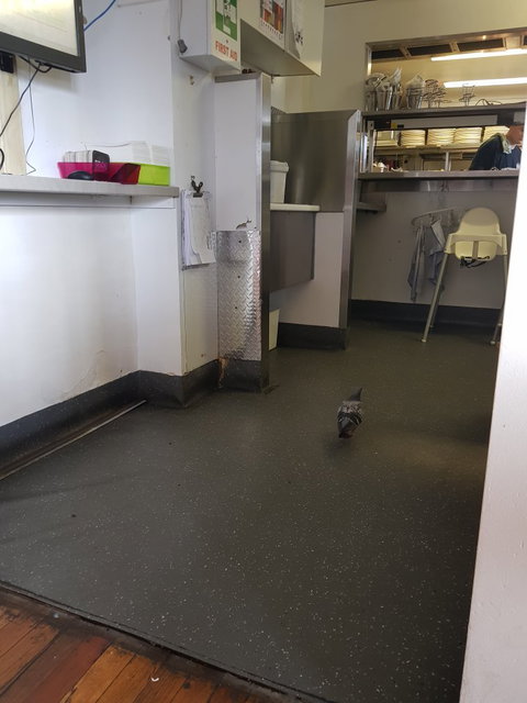 Hog's Breath Cafe Mooloolaba - Great Ocean Road Restaurant 3