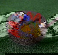 WIA Cafe - Great Ocean Road Restaurant