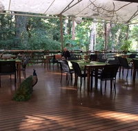 The Restaurant at Cedar Park - Great Ocean Road Restaurant