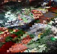 Hotel Settlers - Great Ocean Road Restaurant