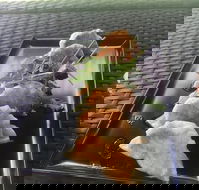 Three Black Sheep Cafe - Great Ocean Road Restaurant