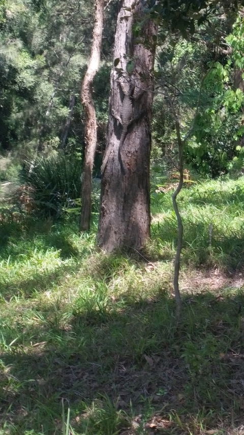 Broken River Kiosk - Great Ocean Road Restaurant 3