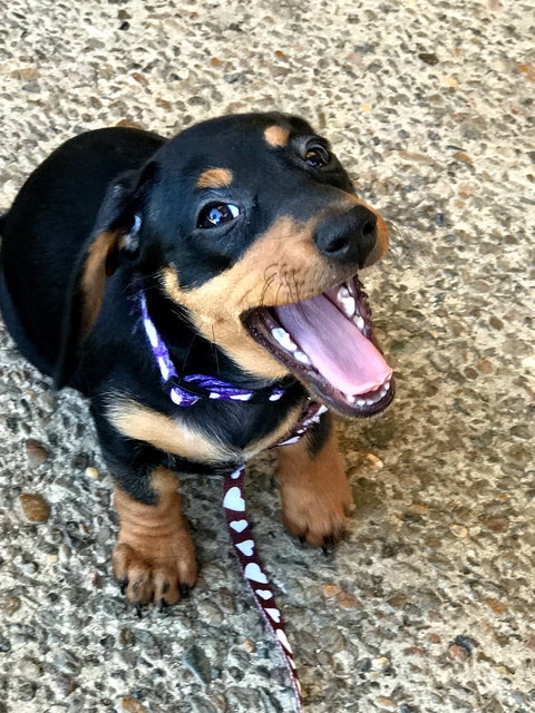 Harry's Place Cafe - Great Ocean Road Restaurant 5