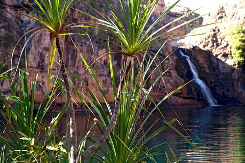 3-Day Kakadu 4WD Camping Safari From Darwin - Great Ocean Road Restaurant 2