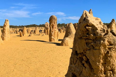 Pinnacles Desert (Private) Day Tour - Great Ocean Road Restaurant 0