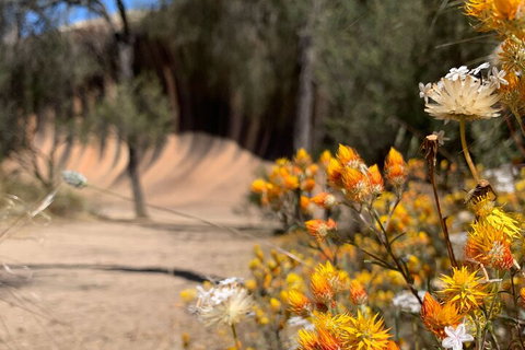 The Big Wave Rock (Private) Day Tour - Great Ocean Road Restaurant 3