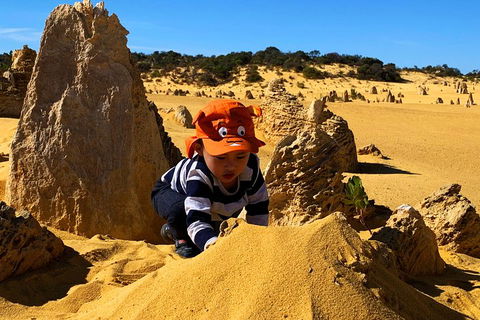 Perth Kids Explorer (Private) Day Tour - Great Ocean Road Restaurant 3