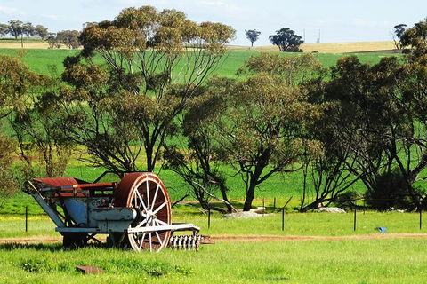 Spring Wildflower (Private) Day Tours - Great Ocean Road Restaurant 4