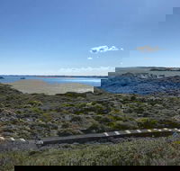 Penguin Island And Fremantle - Canoe Chocolate  Coffee - Great Ocean Road Restaurant