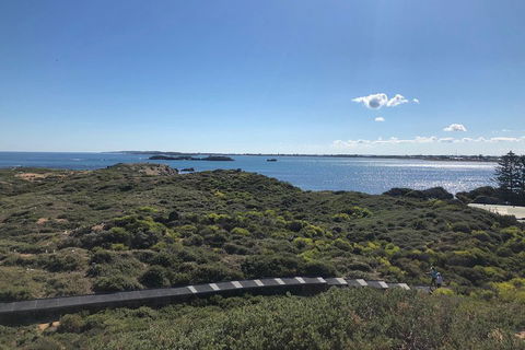 Penguin Island And Fremantle - Canoe, Chocolate & Coffee - Great Ocean Road Restaurant 0