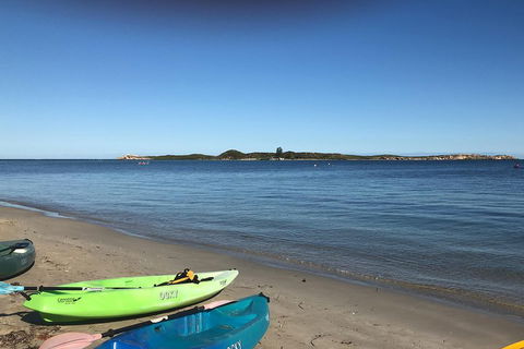 Penguin Island And Fremantle - Canoe, Chocolate & Coffee - Great Ocean Road Restaurant 2