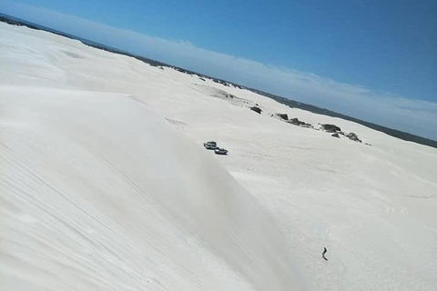 Yanchep & Lancelin - Wildlife, Cave And Sands - Great Ocean Road Restaurant 3