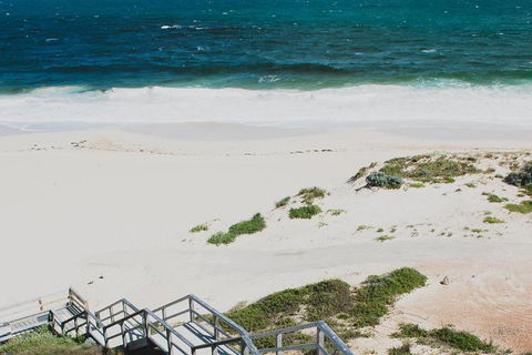 Yanchep & Lancelin - Wildlife, Cave And Sands - Great Ocean Road Restaurant 5