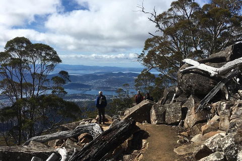 Kunanyi / Mt Wellington Explorer Bus - 2 Hour Return Tour - Great Ocean Road Restaurant 0