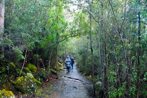 Kunanyi / Mt Wellington Explorer Bus - 2 Hour Return Tour - Great Ocean Road Restaurant 2