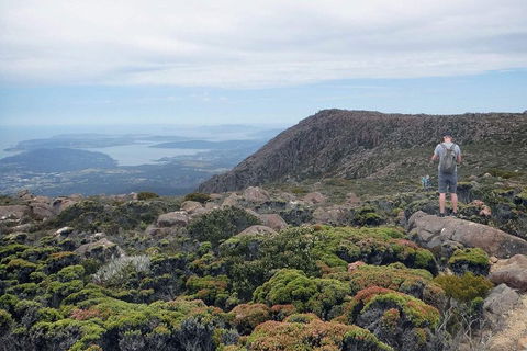 Kunanyi / Mt Wellington Explorer Bus - 2 Hour Return Tour - Great Ocean Road Restaurant 3