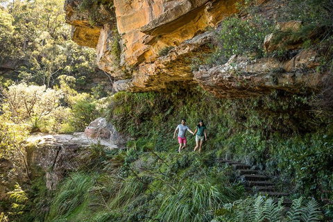 Private Guided: Blue Mountains Hiking & Nature Tour - Great Ocean Road Restaurant 2