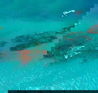 Private Tangalooma Wrecks Tour - Great Ocean Road Restaurant