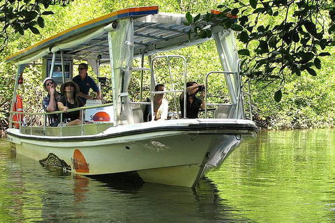 5-Day Best Of Cairns With Daintree, Kuranda, And Great Barrier Reef - Great Ocean Road Restaurant 1