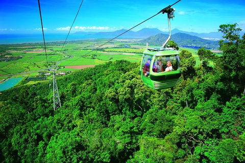 5-Day Best Of Cairns With Daintree, Kuranda, And Great Barrier Reef - Great Ocean Road Restaurant 2