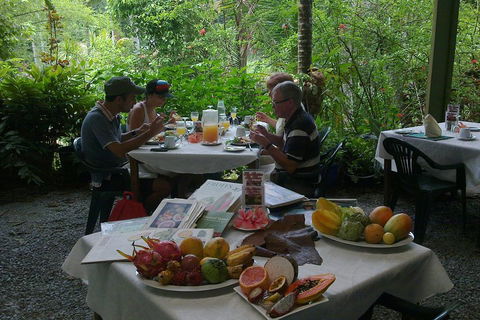 5-Day Best Of Cairns With Daintree, Kuranda, And Great Barrier Reef - Great Ocean Road Restaurant 4