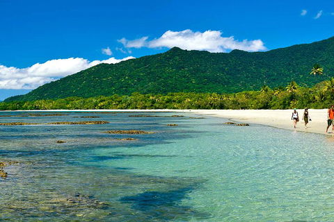 8-Day Cairns Tour: Great Barrier Reef, Kuranda, Daintree Rainforest - Great Ocean Road Restaurant 0