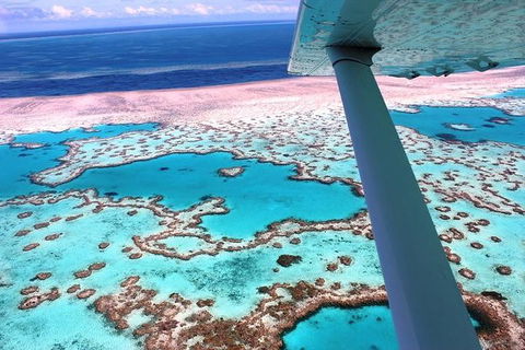 8-Day Cairns Tour: Great Barrier Reef, Kuranda, Daintree Rainforest - Great Ocean Road Restaurant 2