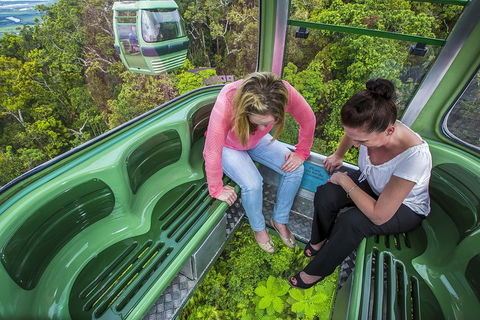 8-Day Cairns Tour: Great Barrier Reef, Kuranda, Daintree Rainforest - Great Ocean Road Restaurant 3
