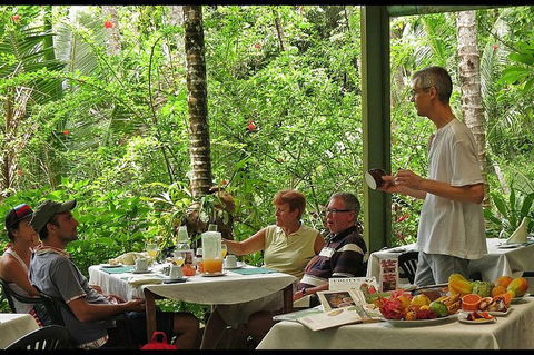 8-Day Cairns Tour: Great Barrier Reef, Kuranda, Daintree Rainforest - Great Ocean Road Restaurant 4
